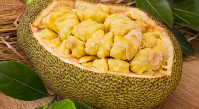 Il jackfruit, o giaco, è davvero la nuova alternativa alla carne?