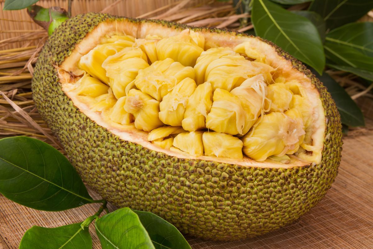 Jackfruit