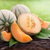 melone cantalupo