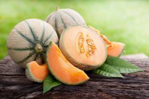 melone cantalupo