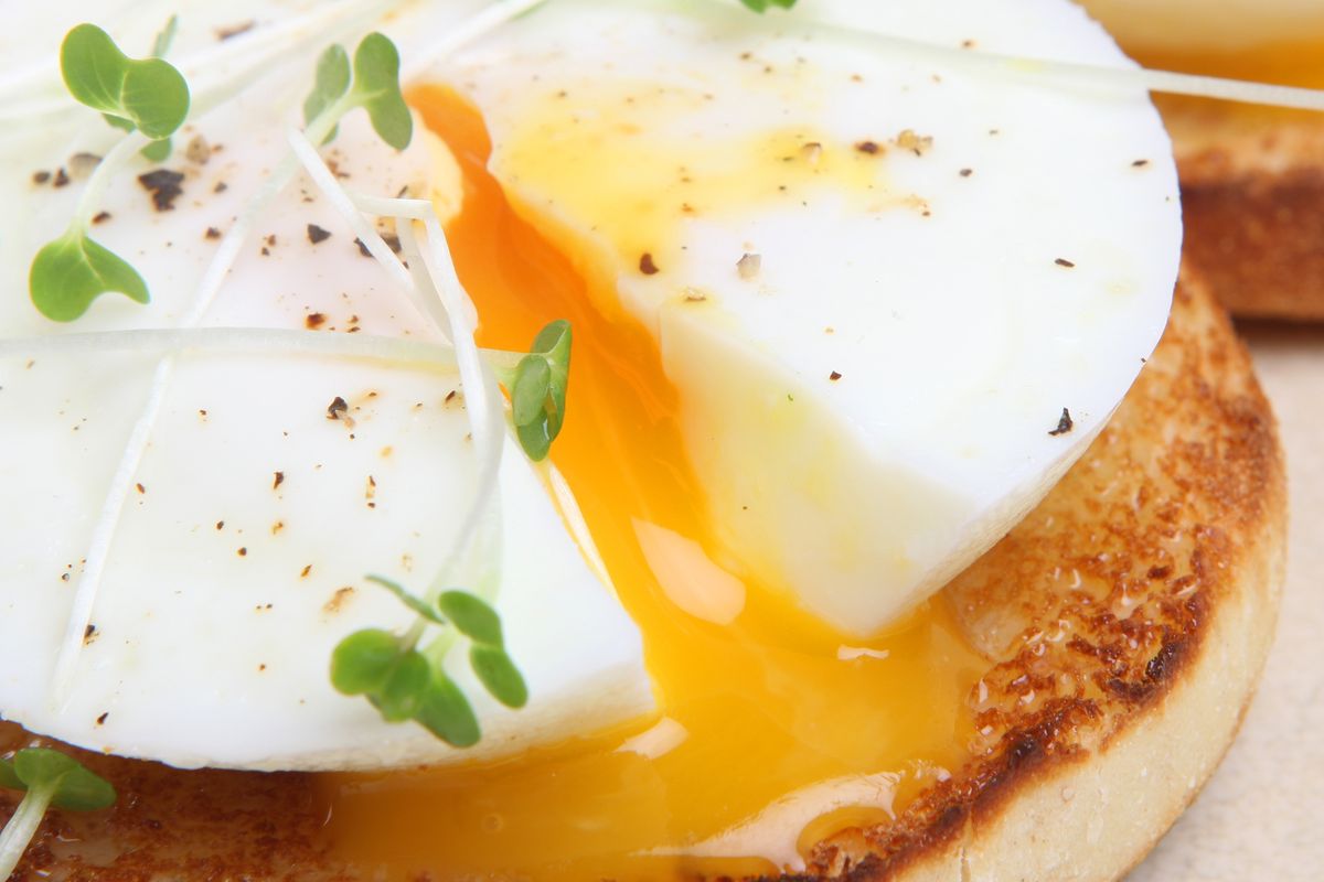 microwave poached egg