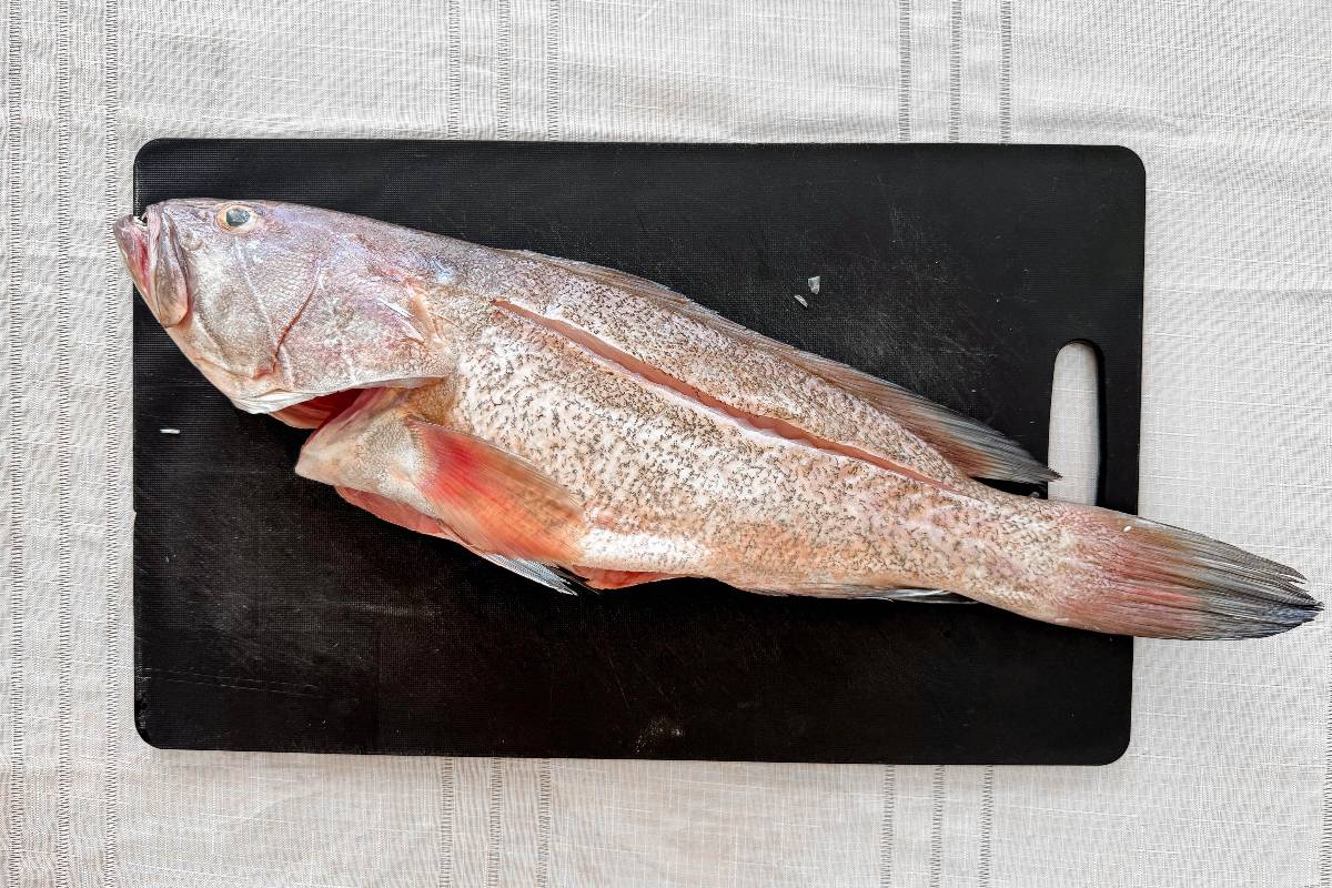 Pesce cernia eviscerato e pulito su tagliere