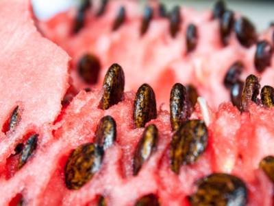 Come riutilizzare i semi di anguria: avete mai provato a… mangiarli?