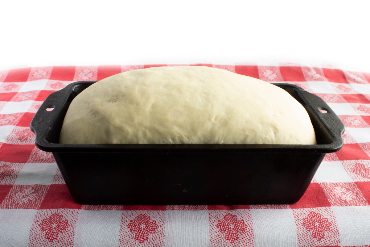 Leavening bread in a tray