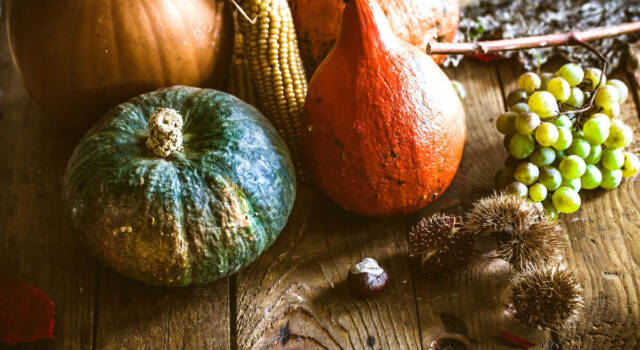 Frutta e verdura di stagione: la lista della spesa per l&#8217;autunno