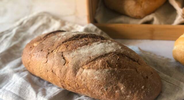 I trucchi per conservare il pane e mantenerlo fresco a lungo con foto e i video-consigli di Primo Chef