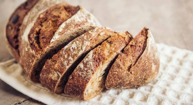 Pane di grano saraceno alle cipolle: dovete provarlo!