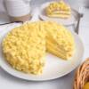 Facciamo la torta mimosa: foto e video del dolce soffice simbolo della festa della donna
