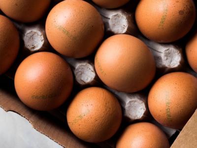 Come si leggono i numeri sulle uova? Ecco la guida completa