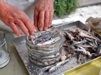Qual è la differenza tra alici e acciughe? Cosa sono invece le sardine?