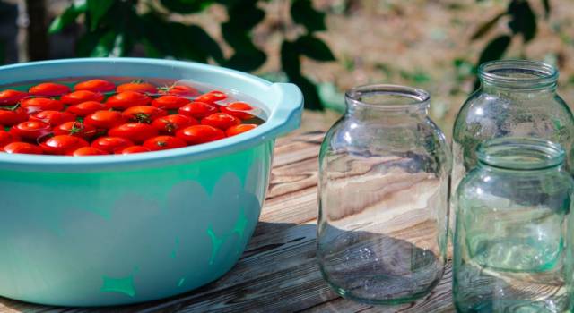 5 modi per conservare i pomodori freschi per l&#8217;inverno
