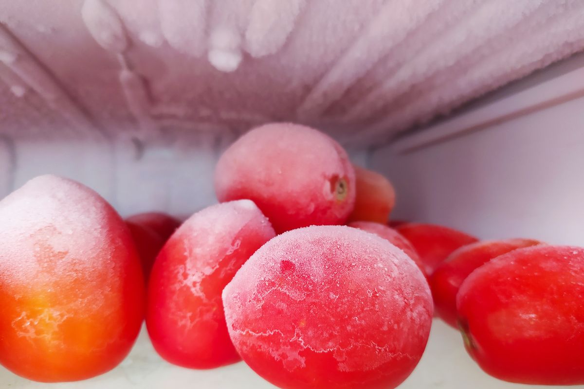 Pomodori congelati
