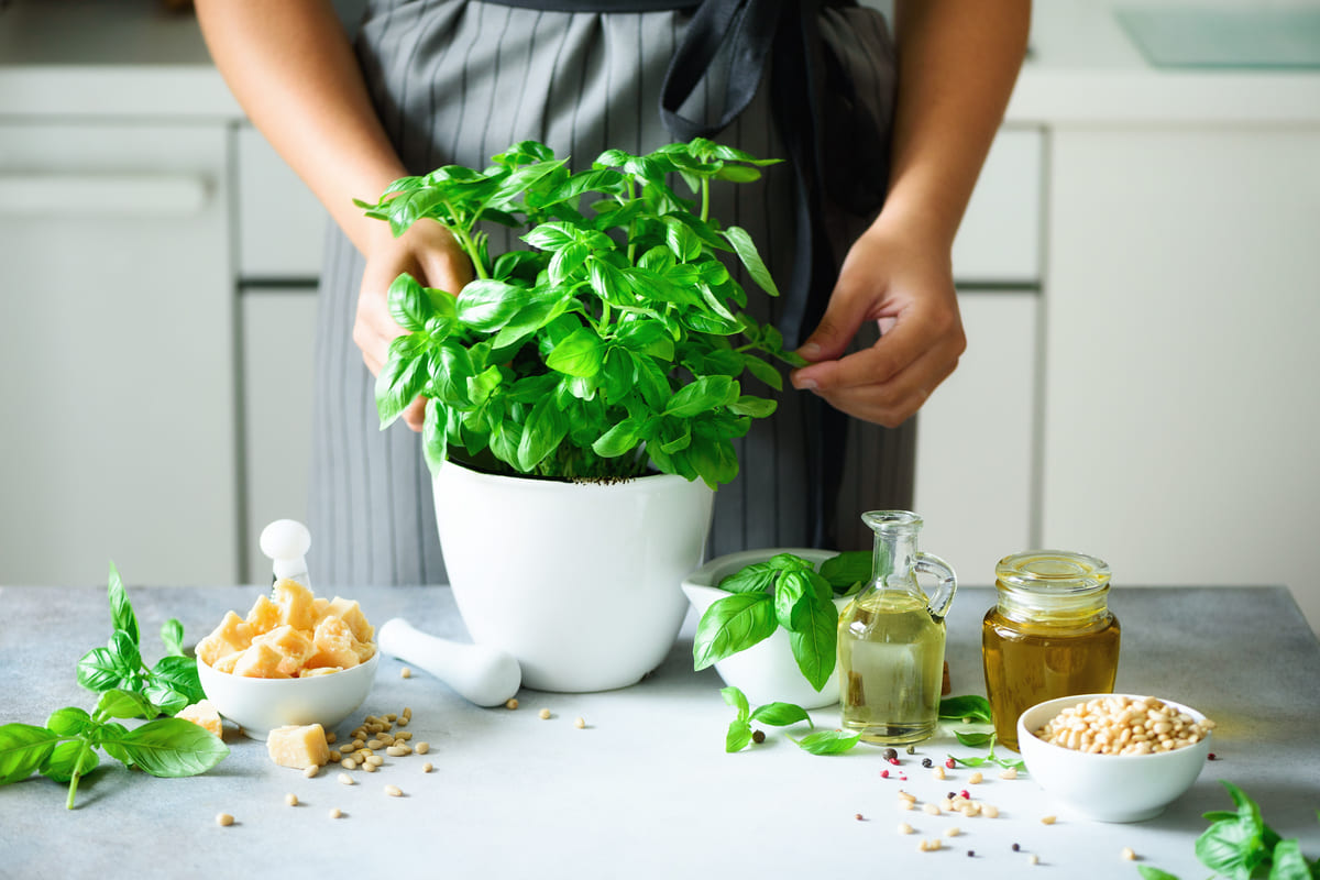 pesto ingredients