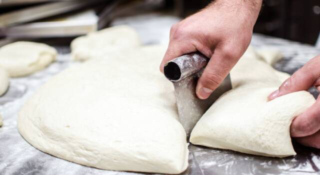 Come formare i panetti della pizza: puntata, staglio, appretto