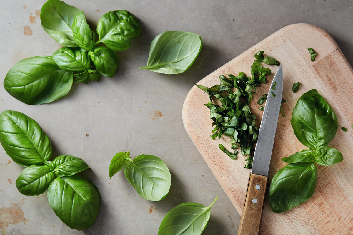 cut basil