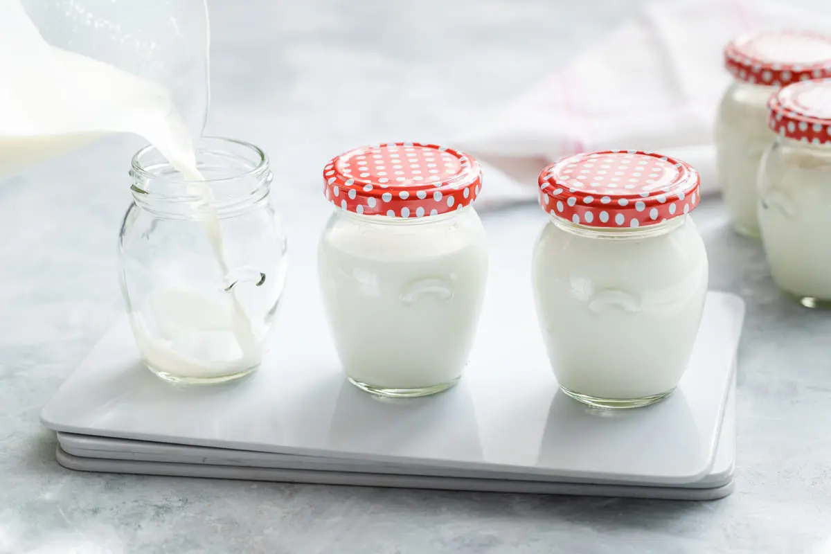 Yogurt fatto in casa senza yogurtiera Idee in pasta