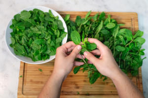 Foglie di menta