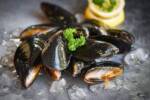 Piatto di cozze fresche con ghiaccio