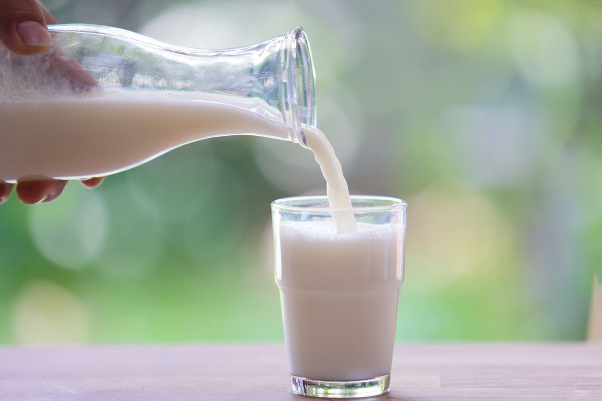 Latte vegetale: le ricette per prepararlo in casa in modo facile