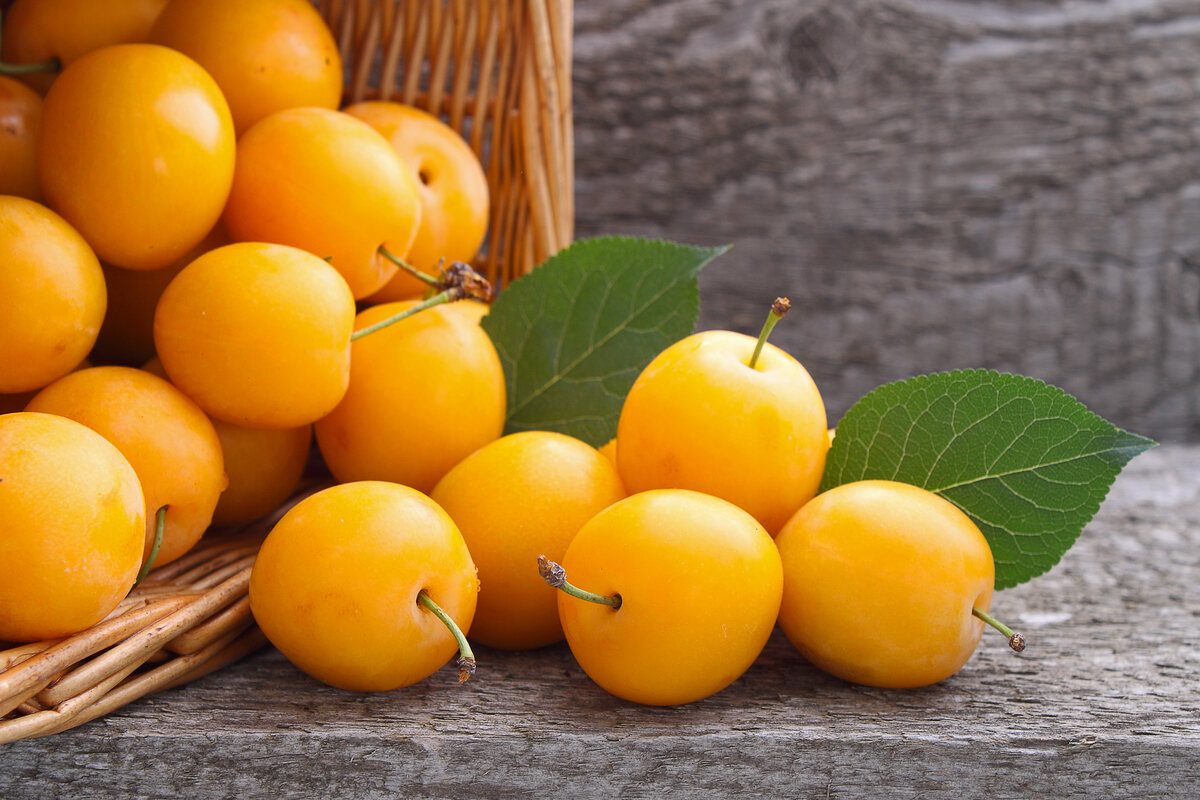 Cestino rovesciato con prugne gialle