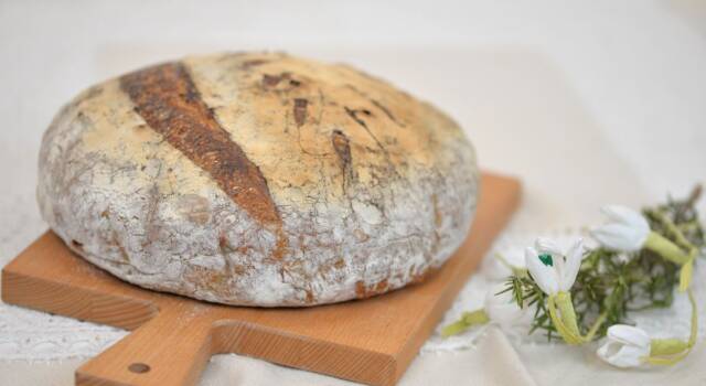 Pane senza glutine al rosmarino: soffice e profumatissimo
