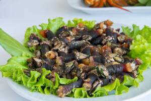 Percebes
