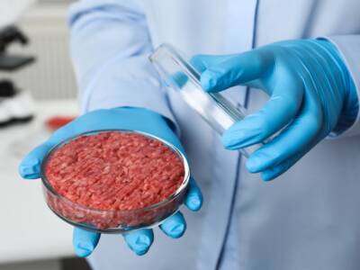 Carne coltivata