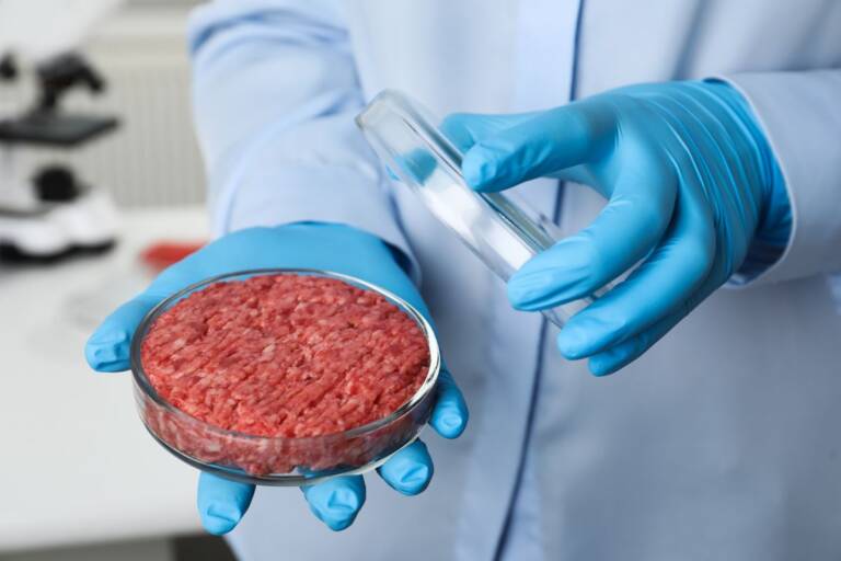 Carne Coltivata In Laboratorio: Cos'è E Come Viene Prodotta