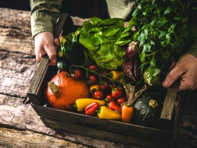 Cassetta cibo biologico