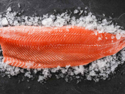 Salmone non salmone