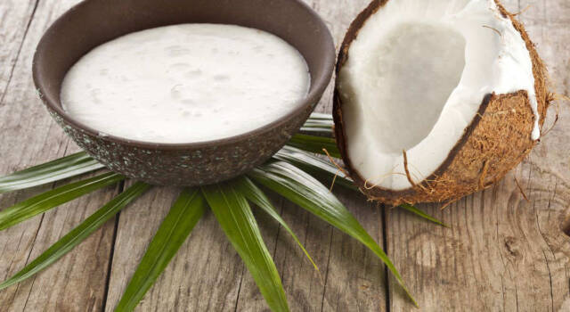 Crema al latte di cocco: fresco dessert semplice e veloce da preparare