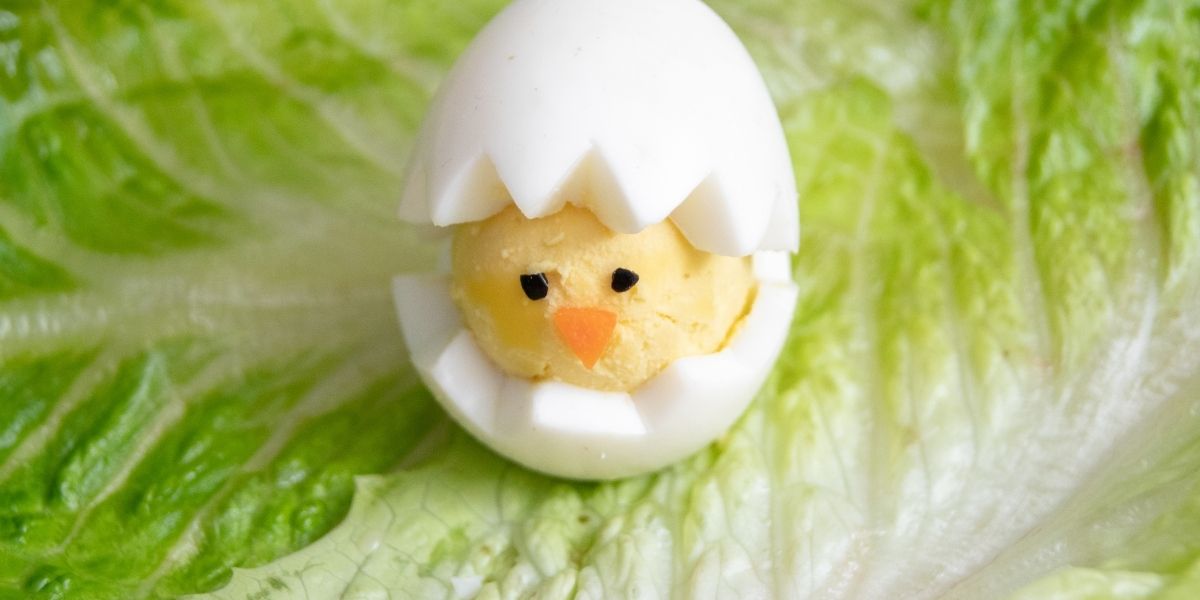 Boiled egg in the shape of a chick