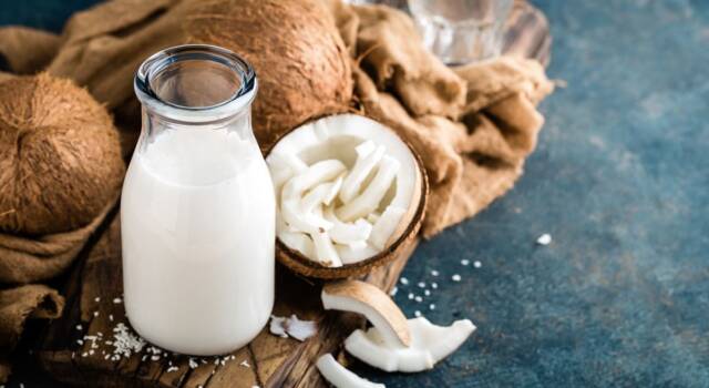 Latte di cocco come farlo a casa a partire dalla noce o dalla farina