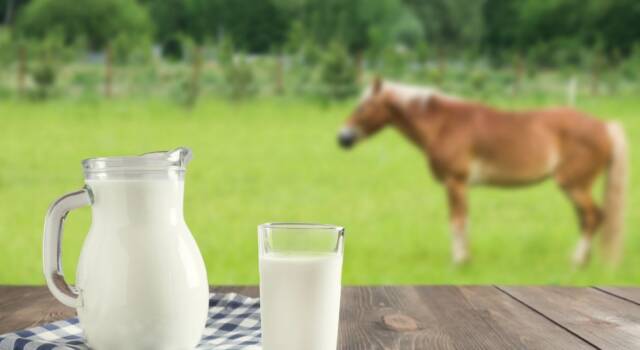 Sapete già cos&#8217;è il latte di cavalla? Un prodotto dalle mille proprietà