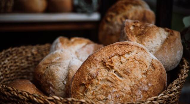 Pane fatto in casa con il Bimby, la ricetta perfetta
