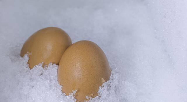Le uova si possono congelare? Scopriamolo insieme