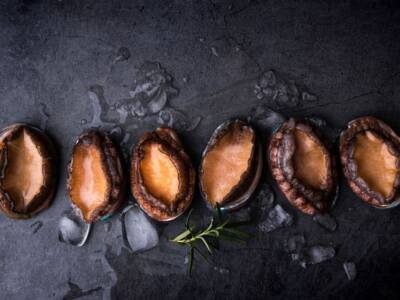 Cos’è l’abalone? Alla scoperta di questo prezioso mollusco