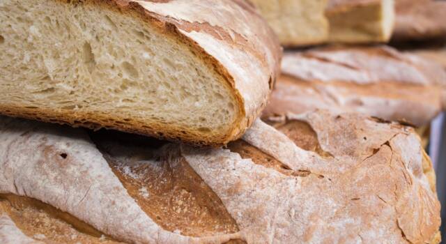 Perché il pane toscano è sciapo? Ecco la verità