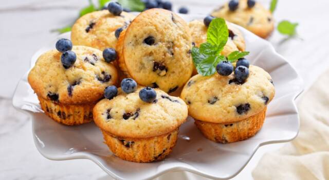 Muffin ai mirtilli: super soffici e gustosi!