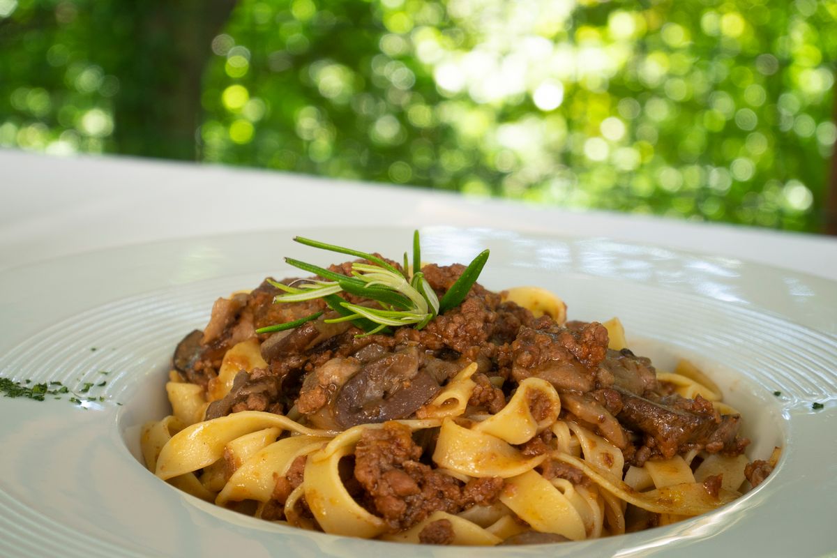 venison ragout