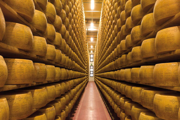 Stagionatura del formaggio la fase più delicata del processo di trasformazione del latte