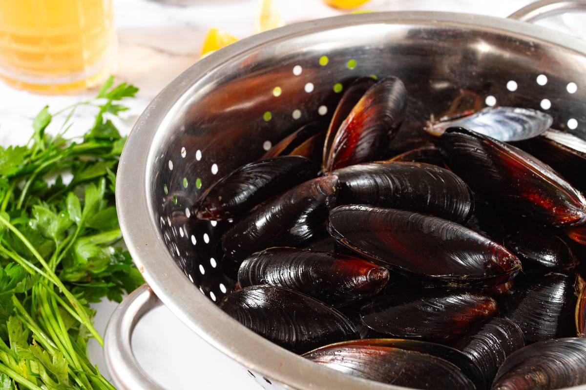 Cozze pulite nello scolapasta con ciuffo di prezzemolo vicino
