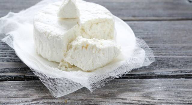 Come fare il formaggio di capra in casa? Ecco la semplice ricetta