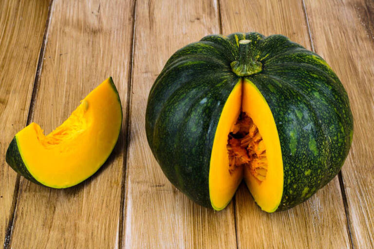 Tipi di zucca tutte le varietà commestibili di questo ortaggio