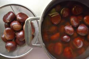 Castagne bollite in pentola