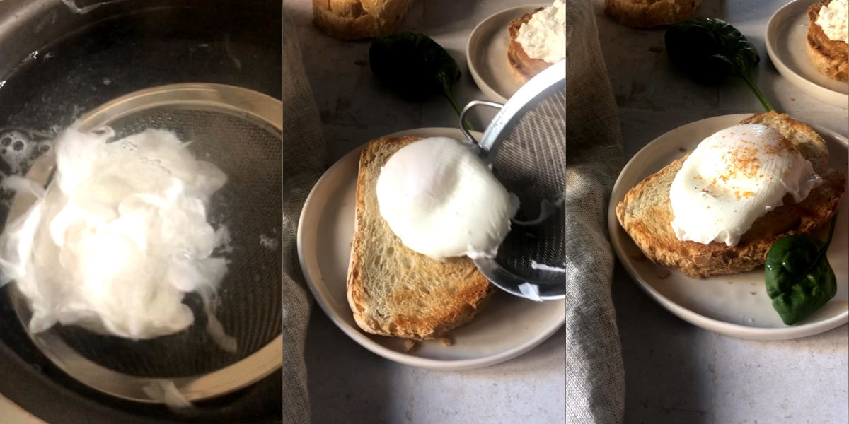 Poached egg on toasted bread