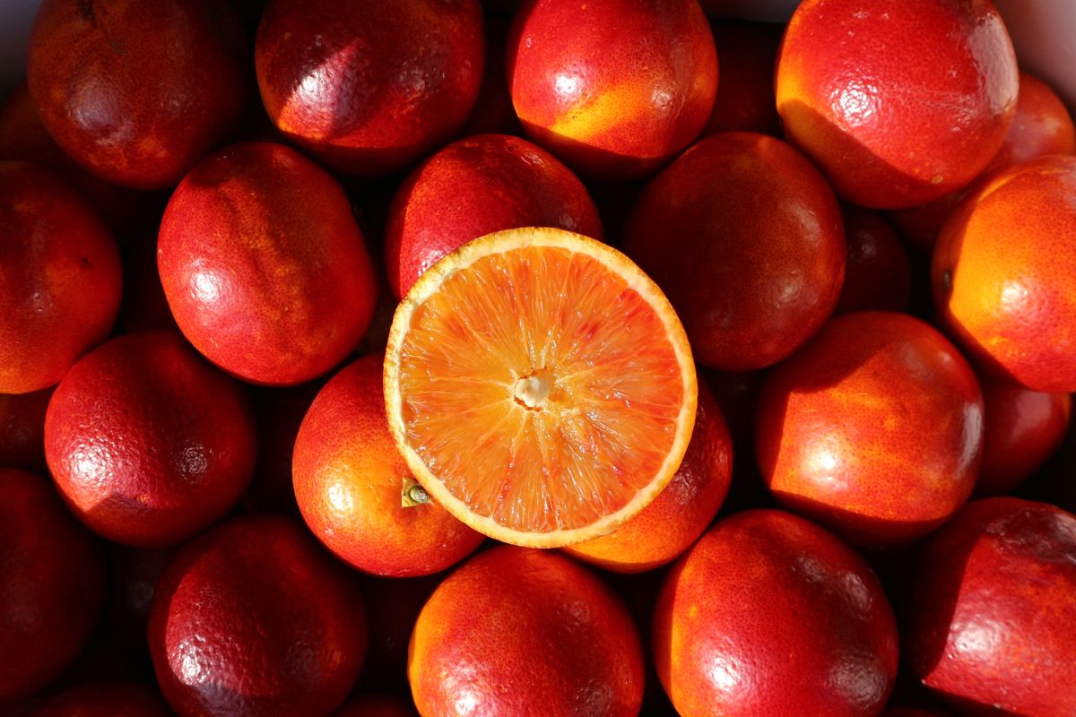 Tarocco Oranges