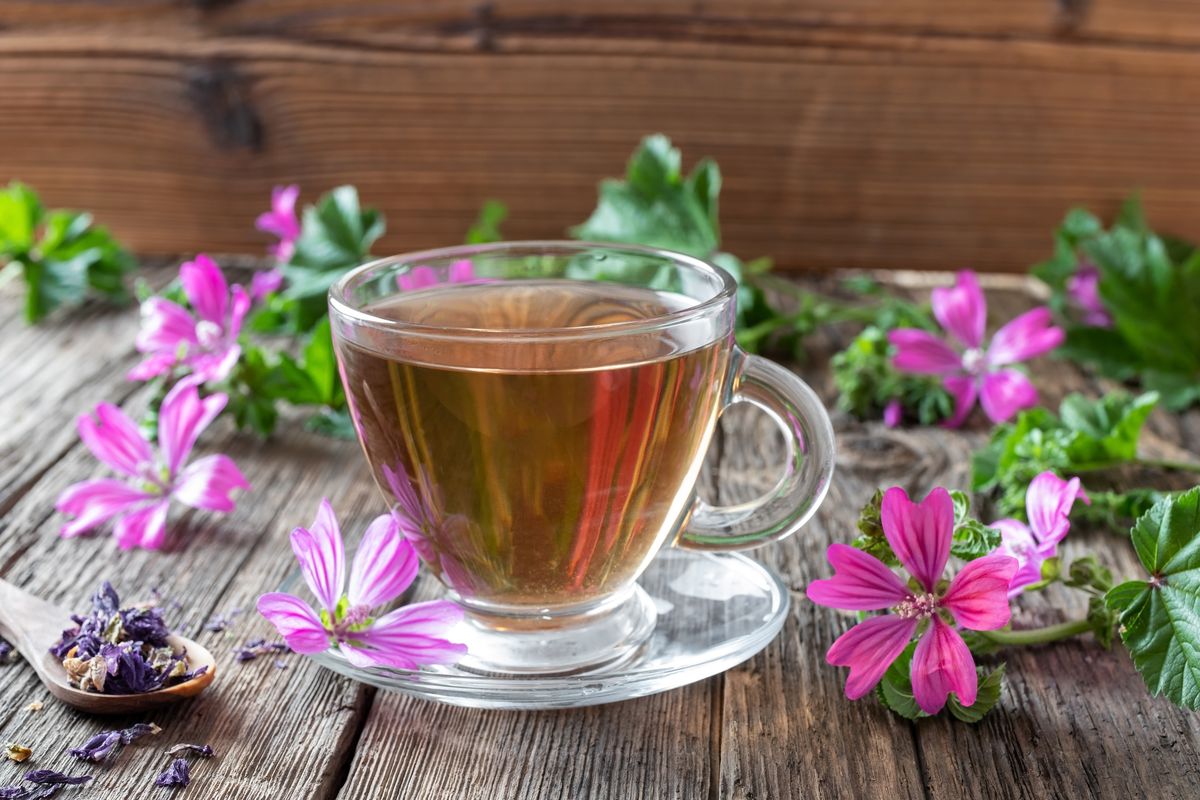 mallow herbal tea