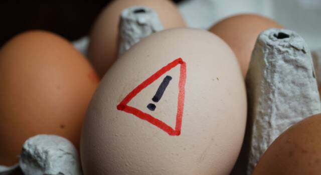 Uova e salmonella: come cucinarle e sceglierle per evitare rischi