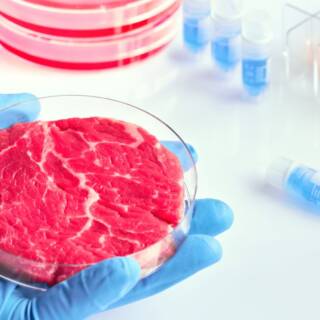 Italia boccia la carne sintetica: vietata la produzione e la vendita nel paese